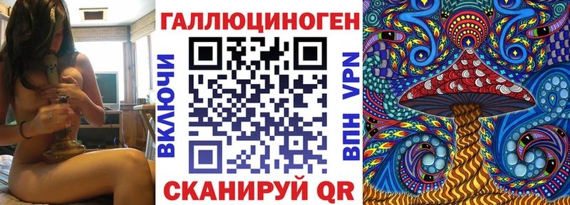 Псилоцибиновые грибы Cubensis  Долгопрудный 