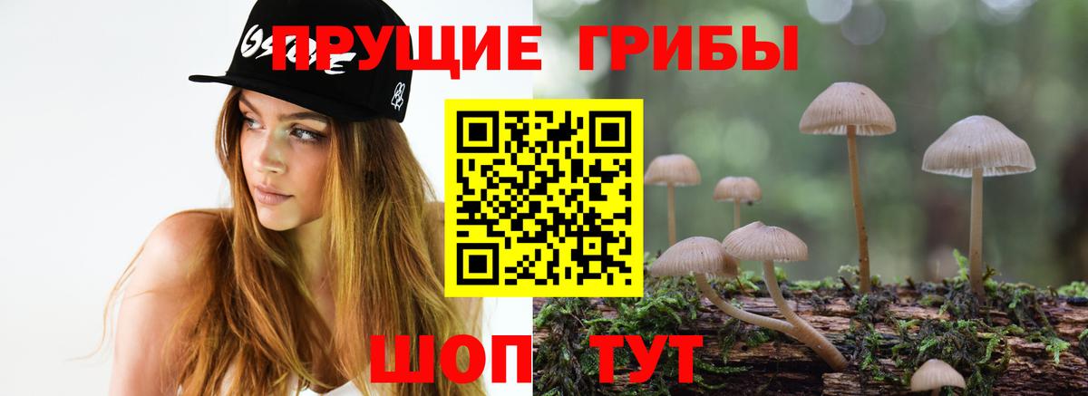 Псилоцибиновые грибы Psilocybe  Галлюциногенные грибы мухоморы  Долгопрудный  купить  цена  Вход с VPN 